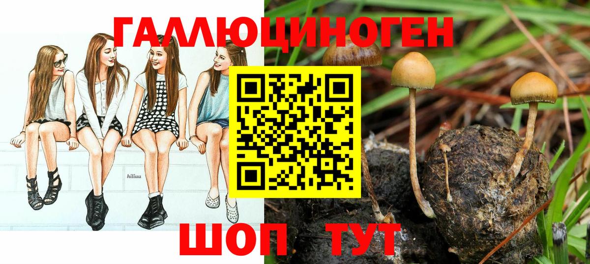 Галлюциногенные грибы мухоморы Тосно